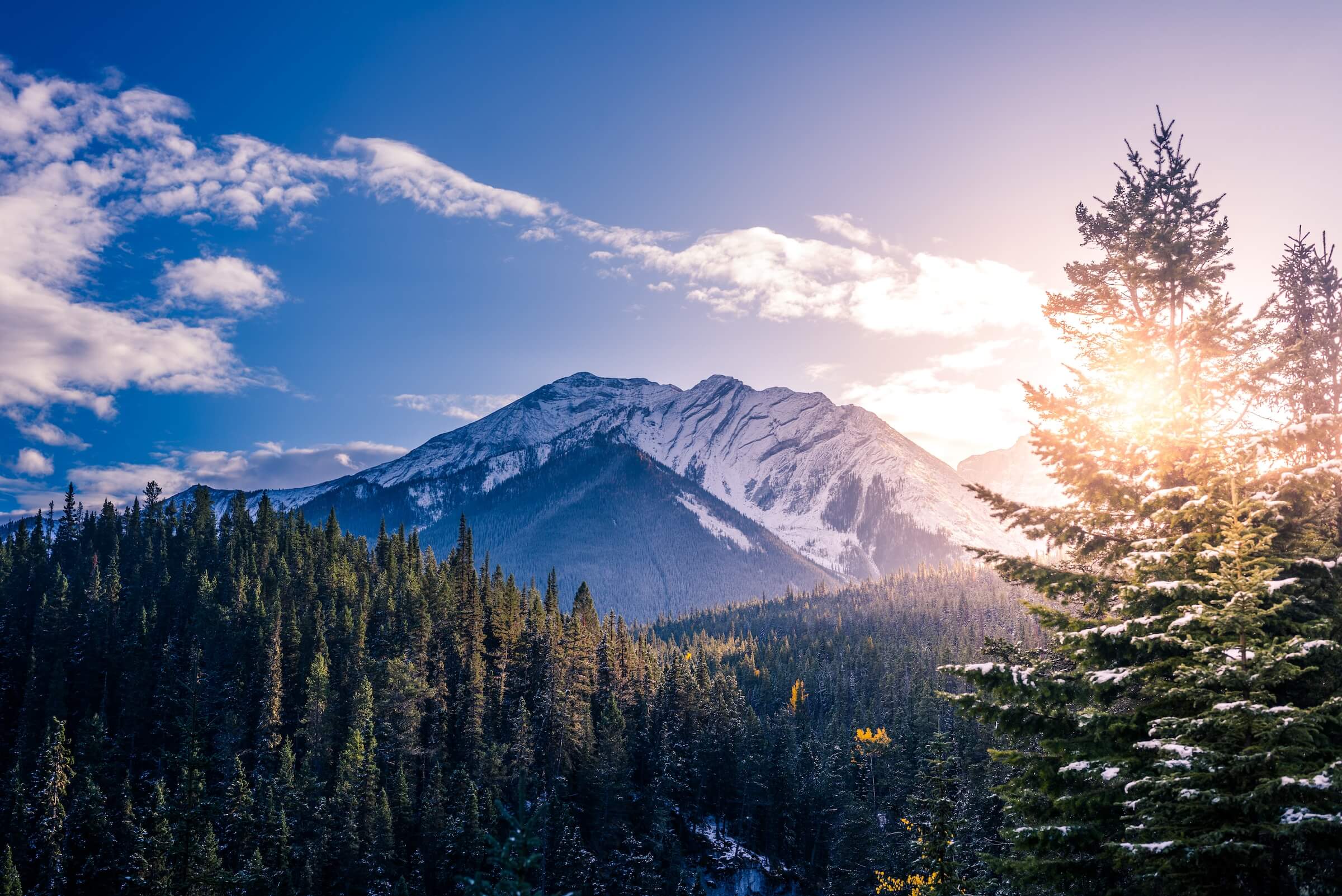 White paper: “Fitting in at work”: why corporate Canada needs to talk about covering